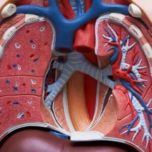 Homeopathic Respiratory Care Products