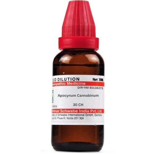 Apocynum Cannabinum