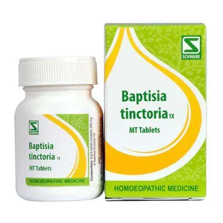 Baptisia Tinctoria 1X