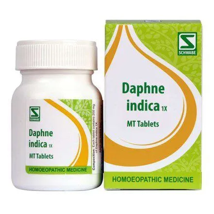 Daphne Indica 1X