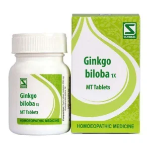 Ginkgo Biloba 1X Tablets for memory and circulation support