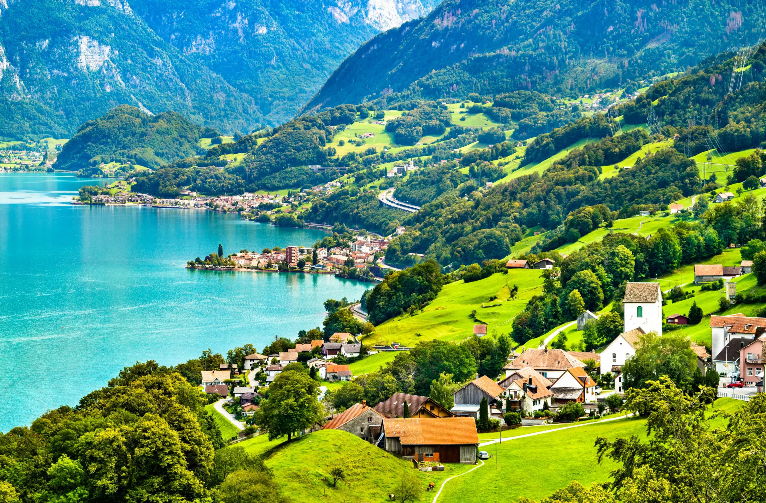 🌍 Homeopathy Depot Is Expanding Globally – Now Delivering to Australia, New Zealand, Europe, South Africa, South America & Oceania!
