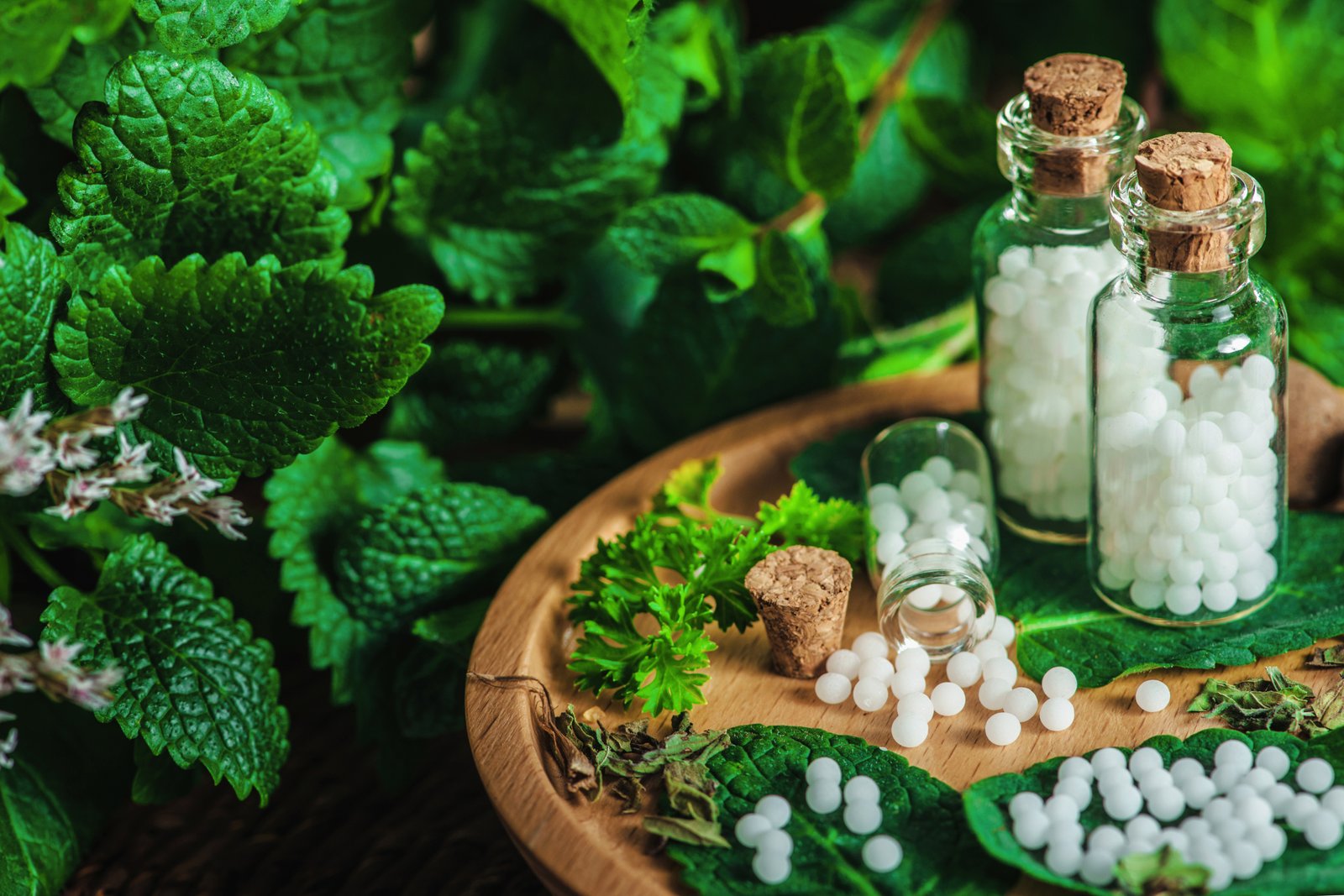 homeopathy common ailments