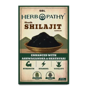 Shilajit Capsules 10 pack