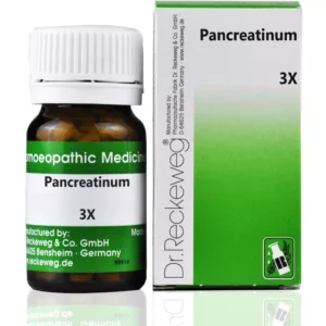 Dr. Reckeweg Pancreatinum 3x Tablet