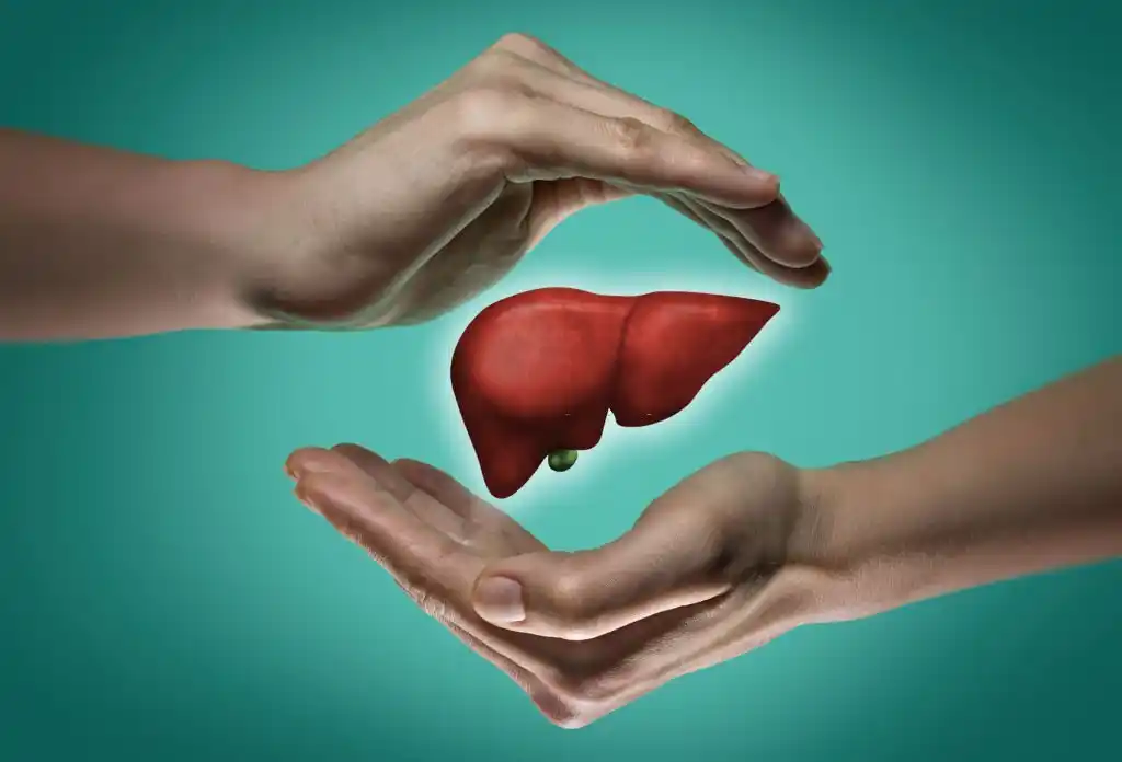 Homeopathic Liver Detox: Natural Remedies for a Healthy Liver